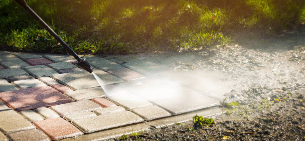 Best Pre-Holiday Cleaning  in Highland Park, MI