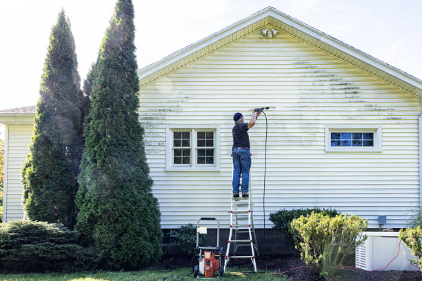 Best Fence Cleaning  in Highland Park, MI